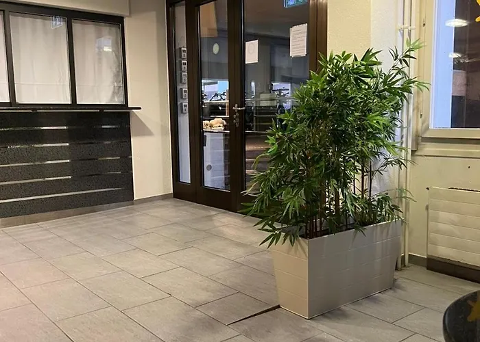 Executive Suite-business Edition Apartman *