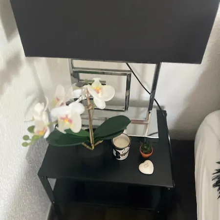 Studio Appartement Zürich