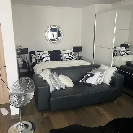 Executive Location & Fast Free Wi-fi & Ac & Parking Curych