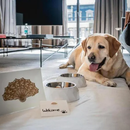 Executive Location & Fast Free Wi-fi & Ac & Parking * Curych