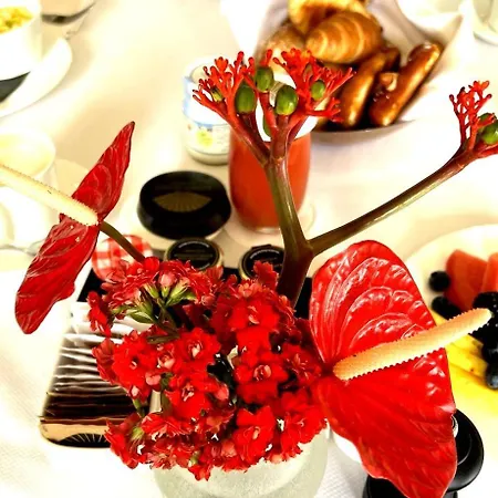 Executive Suite-business Edition *